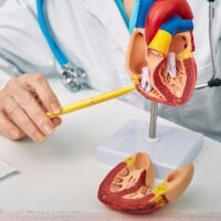 Cardiologia e Malattie dell Apparato Circolatorio