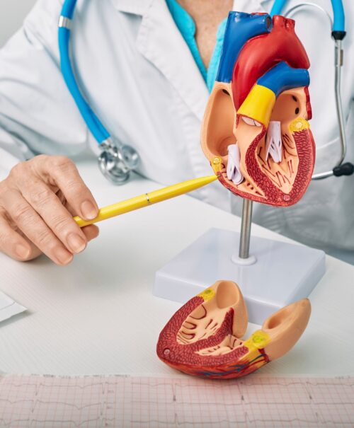 Cardiologia e Malattie dell Apparato Circolatorio