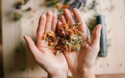 Naturopatia e alimentazione: come la dieta influenza il benessere naturale