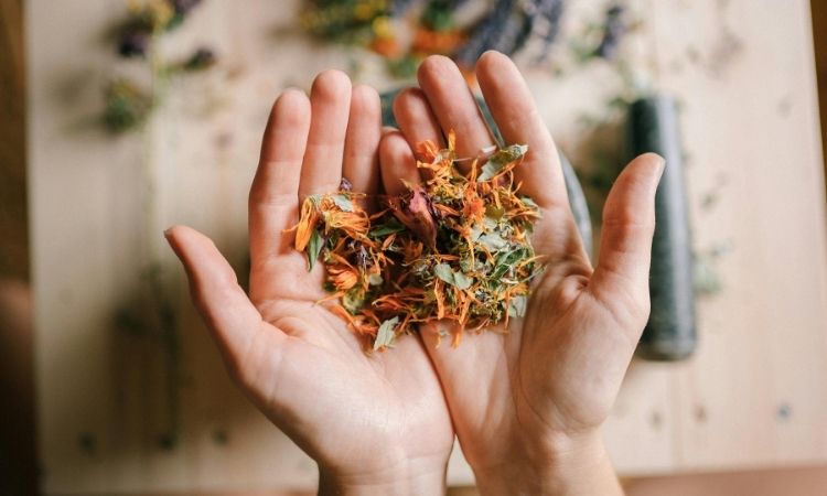 Naturopatia e alimentazione: come la dieta influenza il benessere naturale